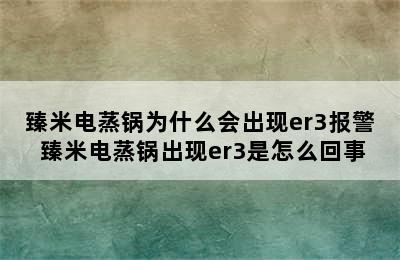 臻米电蒸锅为什么会出现er3报警 臻米电蒸锅出现er3是怎么回事